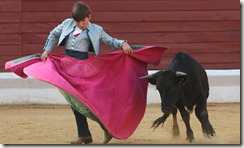 APTOPIX FRANCE BULLFIGHT